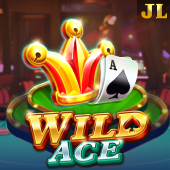 Wild Ace casino game